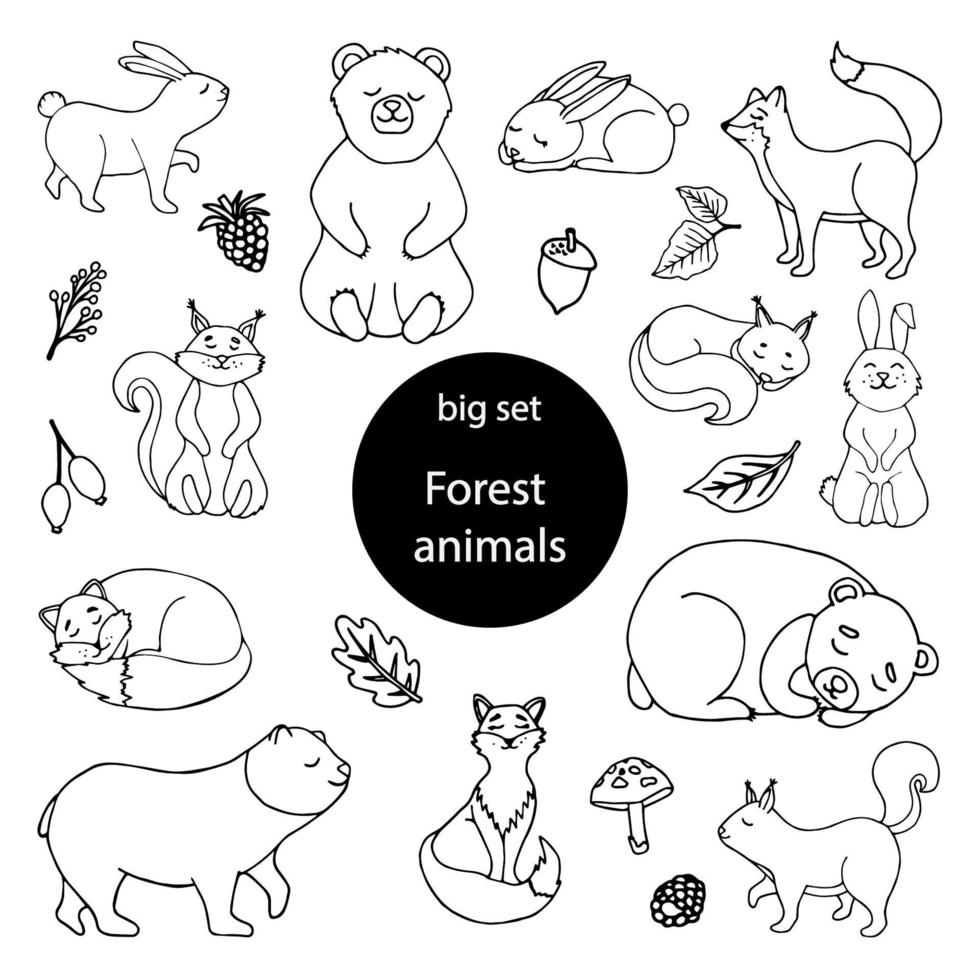 Set of animals design elements. Squirrel, hare, fox, bear, leaves, acorns, berries vector