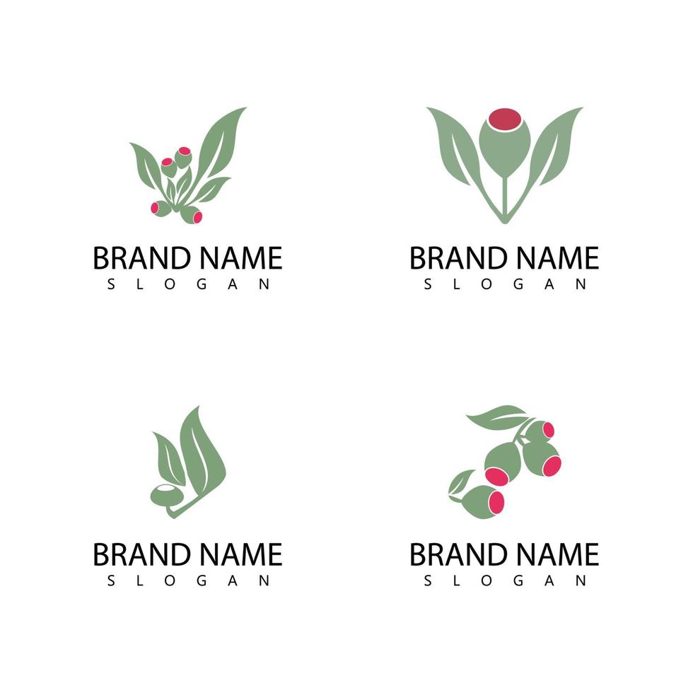 Eucalyptus leaves logo vector template design illustration