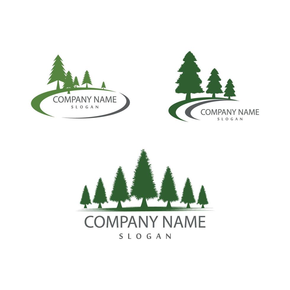 pine evergreen fir hemlock spruce conifer cedar Christmas tree Logo design vector