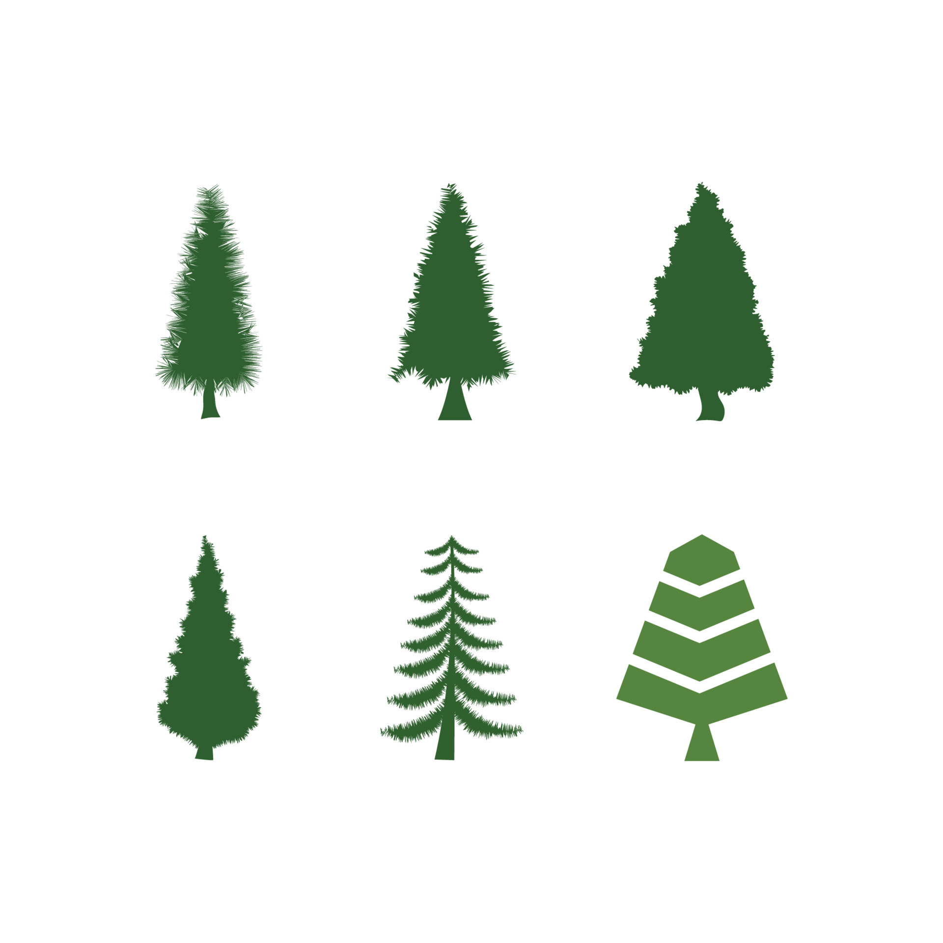 Evergreen Tree Logo