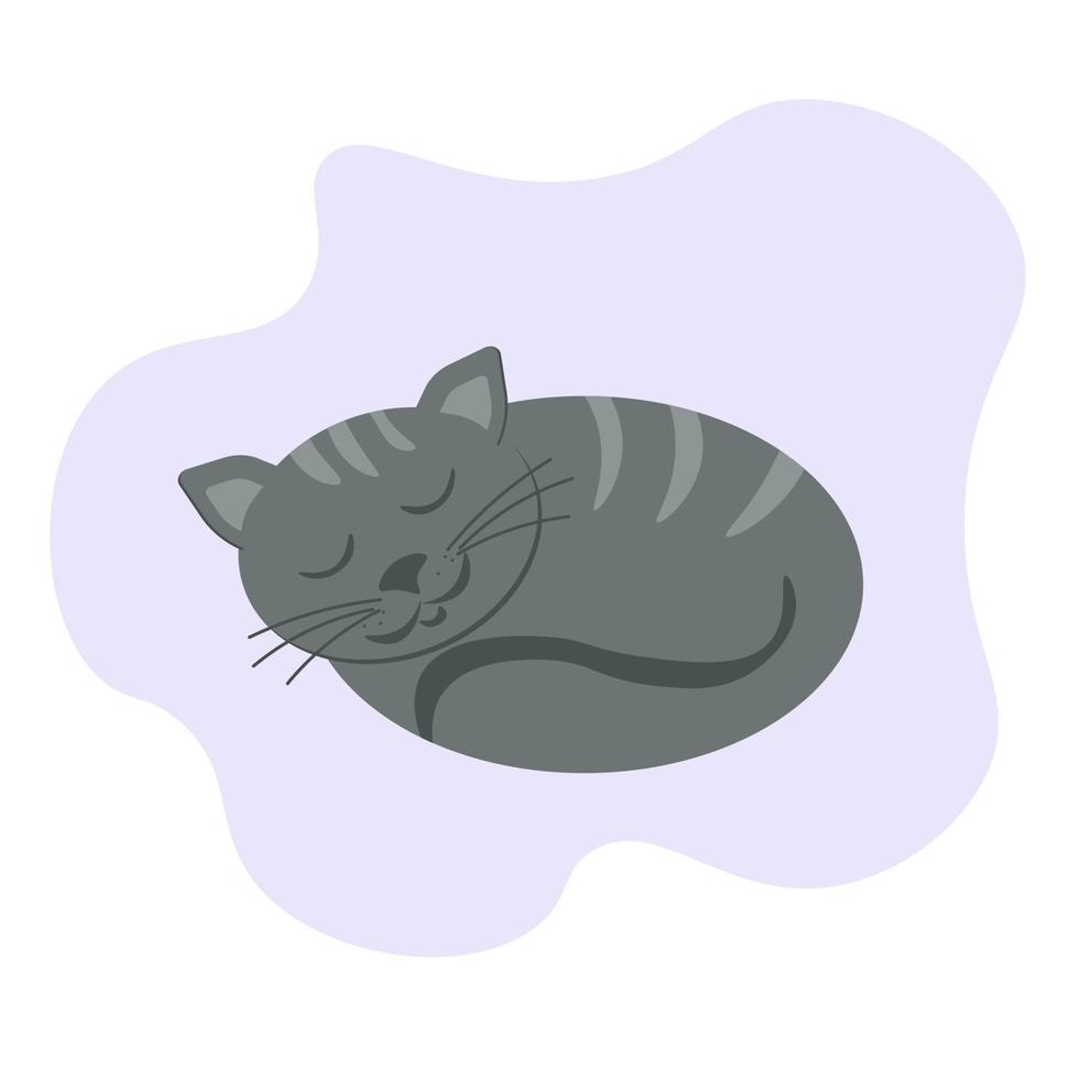 Gato atigrado gris durmiendo, mascota acurrucada en un círculo y cubierta con su cola vector