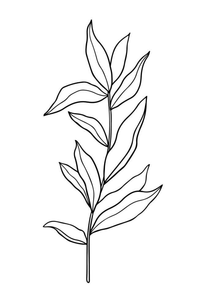 Abstract twig with leaves isolated on a white background. Vector hand-drawn illustration in outline style. Perfect for cards, logo, decorations, invitations.