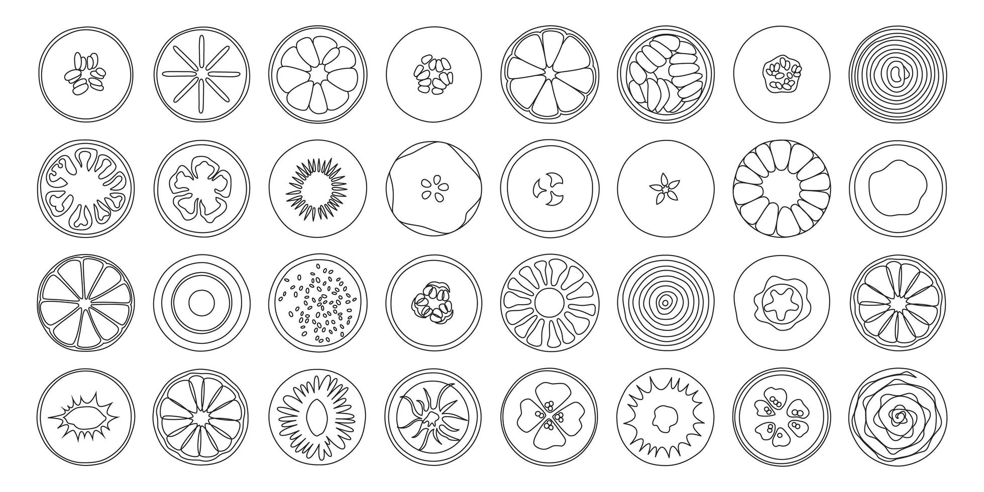 Fruits line art collection. Several handwritten fruits drawing. vector