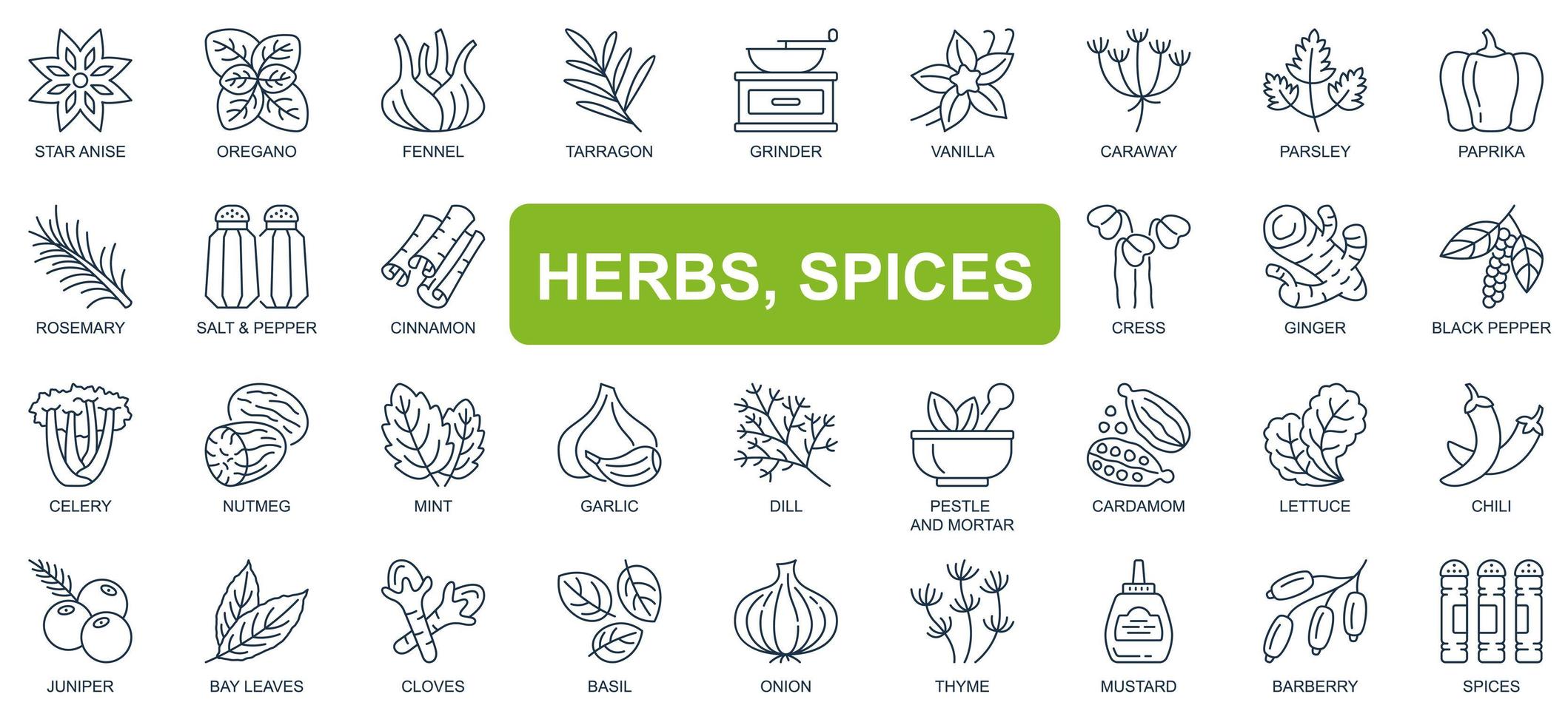 Herbs, spices concept simple line icons set. Bundle of star anise, oregano, vanilla, paprika, rosemary, salt, pepper, cinnamon and other. Vector pack outline symbols for website or mobile app design