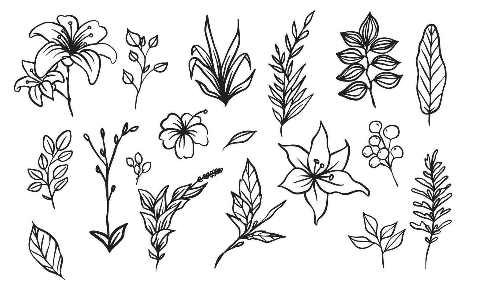 set of hand drawn floral elements for your design, leaf and flowers illustration to create romantic or vintage design, plant isolated graphic very easy add to your design project vector