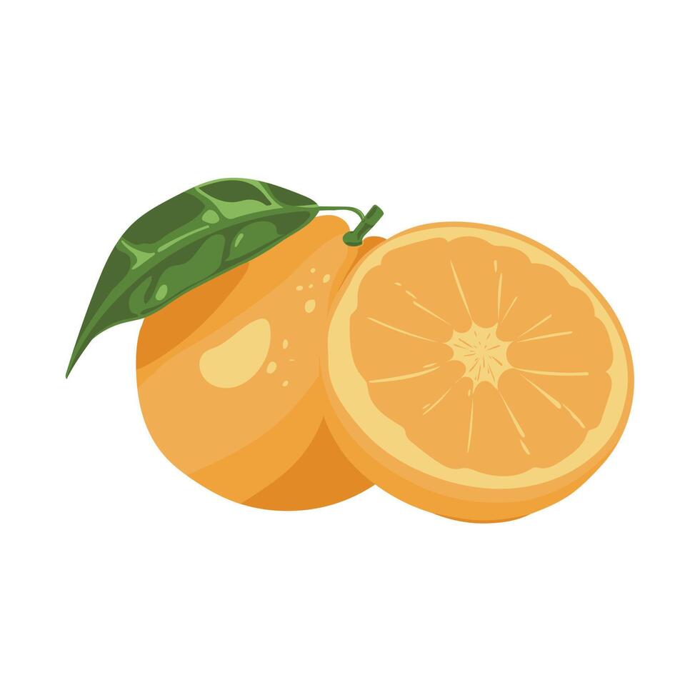 naranja fresca en rodajas. la colección de ilustraciones de frutas tropicales en diseño vectorial. comida sana, jugosa y dulce. Animación de frutas coloridas aislado sobre fondo blanco. vector