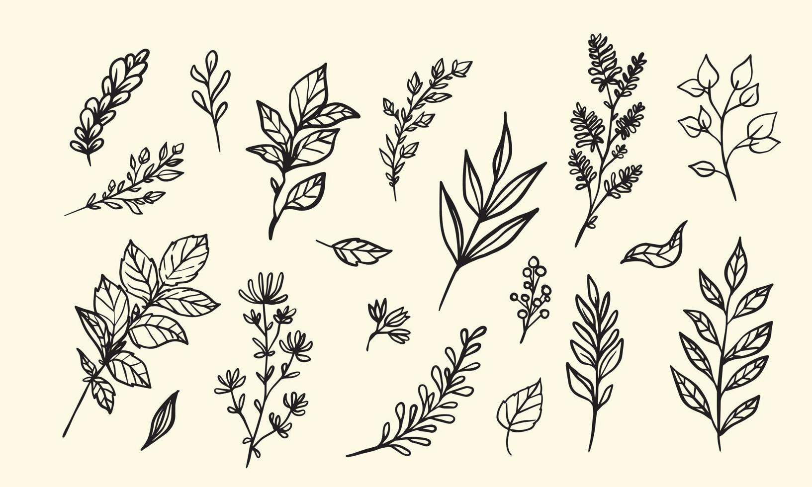 conjunto de ilustración de vector de hoja dibujada a mano, elementos gráficos aislados lineart de flores para su diseño, lineart floral para diseño clásico