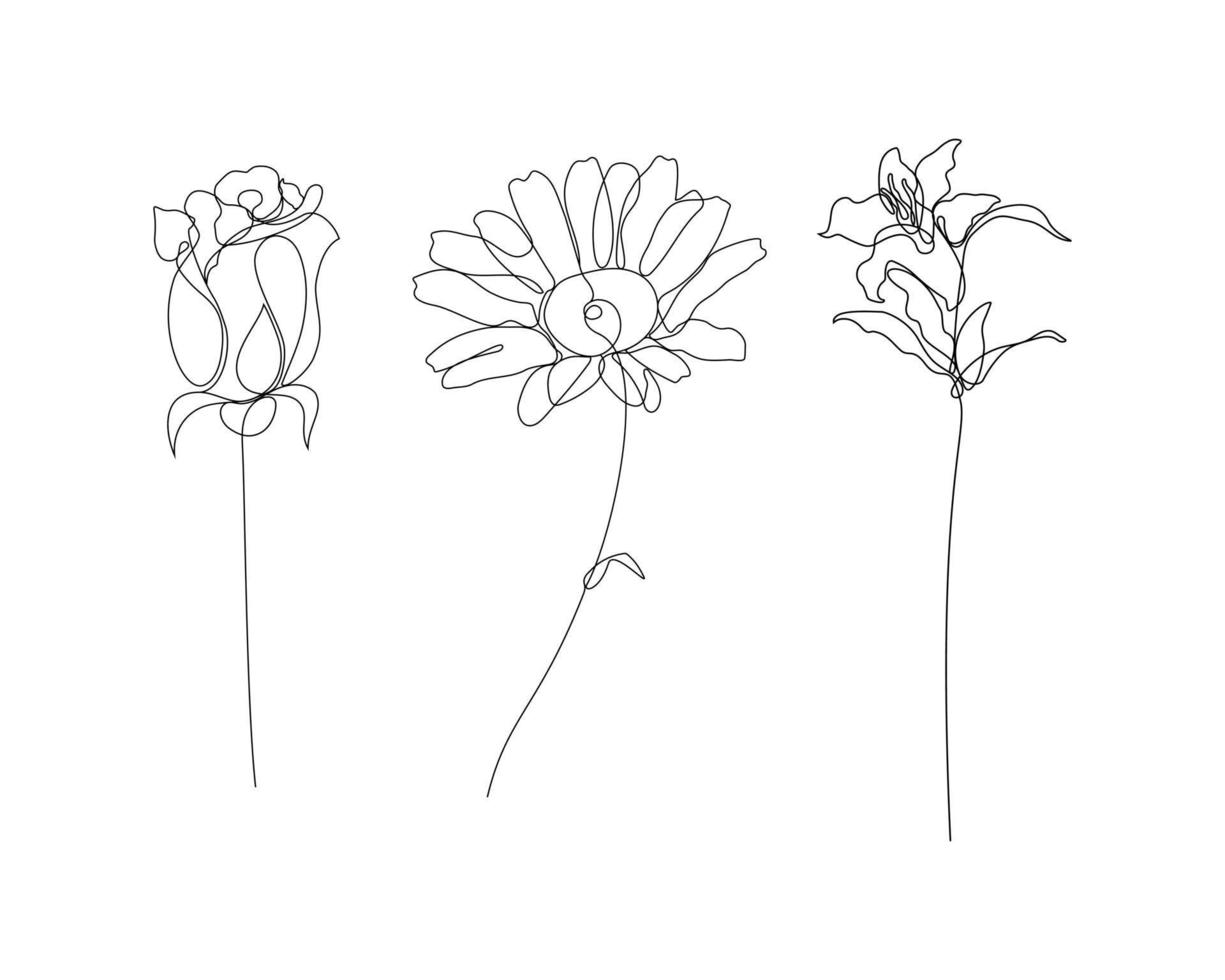 rose, daisy, and lily flowers illustration in one line art style. continuous drawing in vector best used for icon, wall art prints, posters, magazine, postcard, etc.