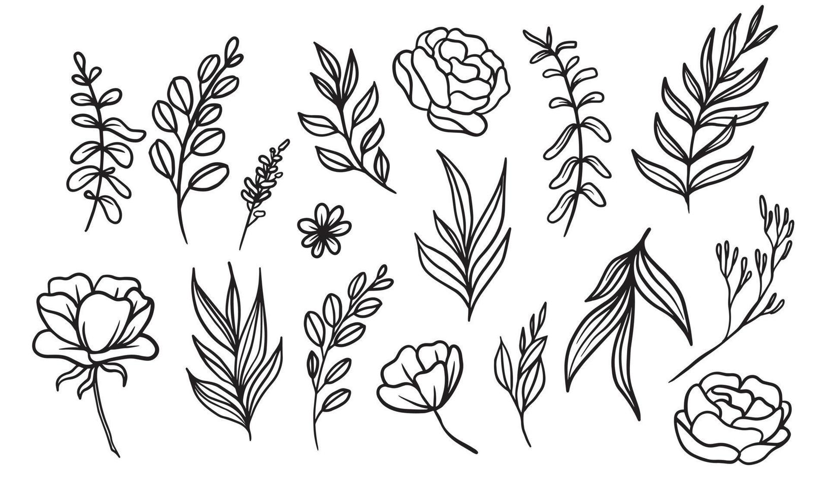set of hand drawn floral elements for your design, leaf and flowers illustration to create romantic or vintage design, plant isolated graphic very easy add to your design project vector