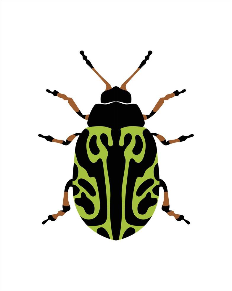 escarabajo de hoja de malvavisco. ilustración vectorial plana de errores. insectos y concepto de jardín animados en tema colorido. Ilustración de dibujos animados de la naturaleza aislada sobre fondo blanco. vector