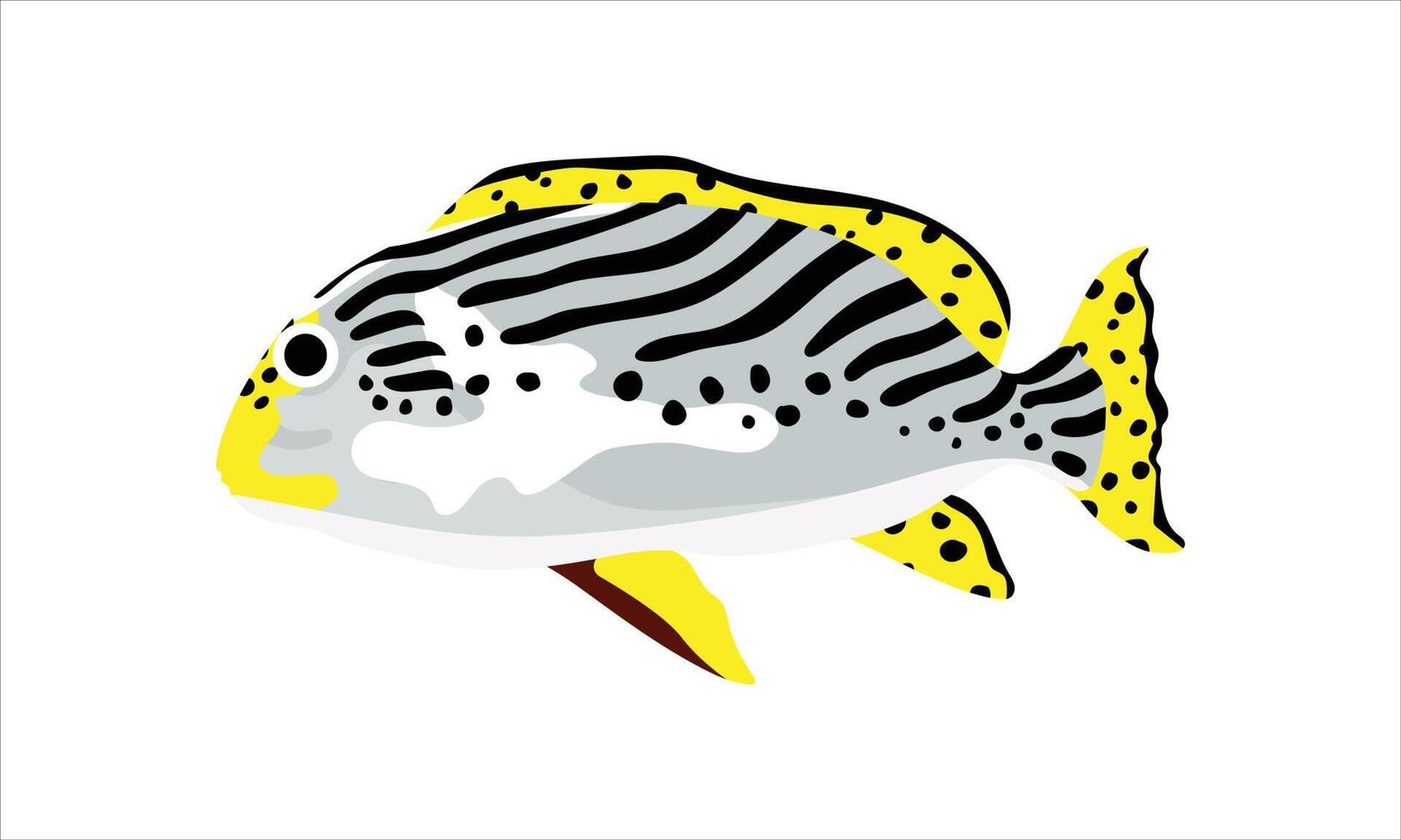 plectorhinchus orientalis. conjunto de colección de ilustración de peces de coral. el dibujo a mano de la vida submarina. animación vectorial dibujada a mano. adorables y hermosos peces de la vida marina. vector