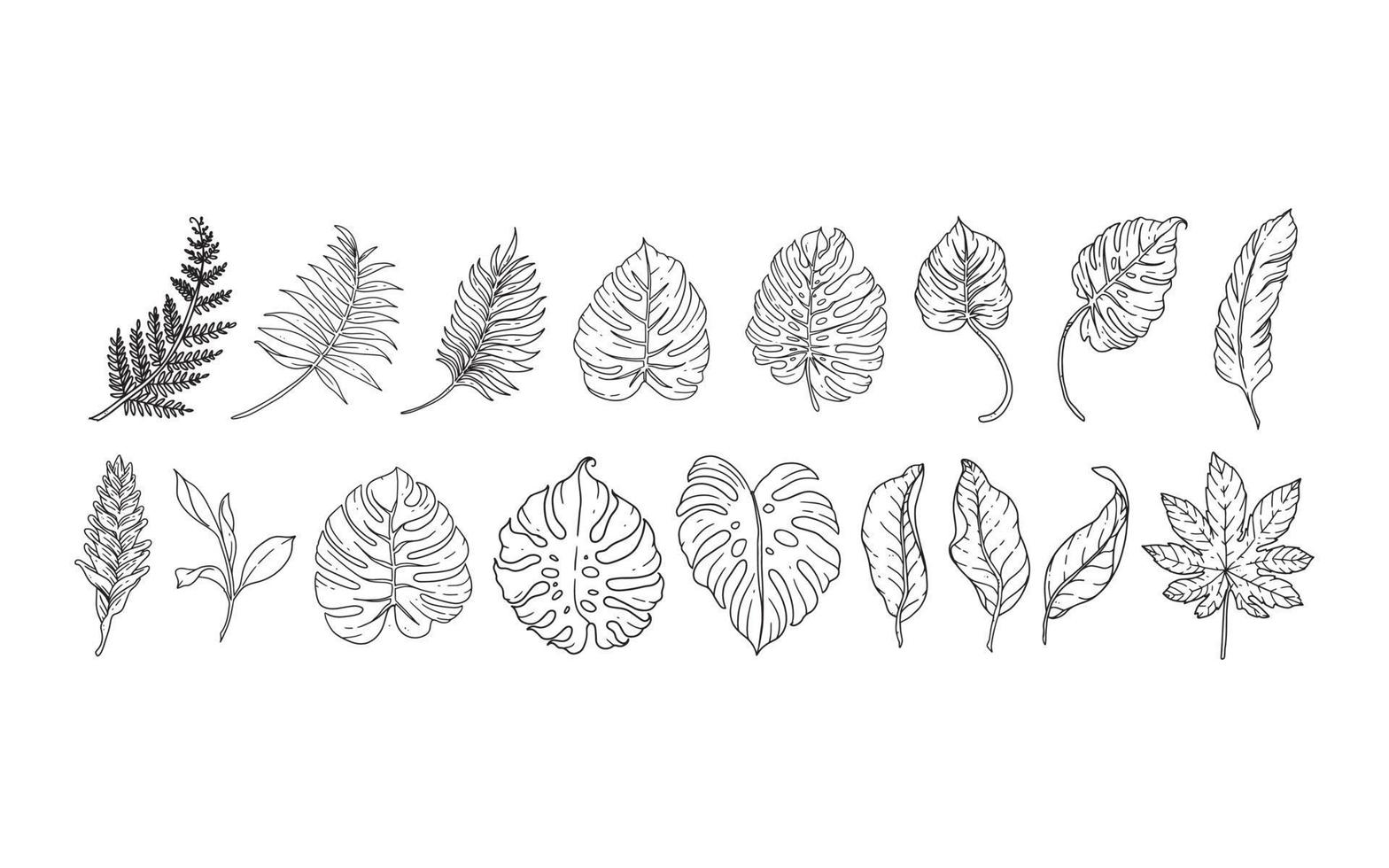 set of hand drawn floral elements for your design, leaf and flowers illustration to create romantic or vintage design, plant isolated graphic very easy add to your design project vector