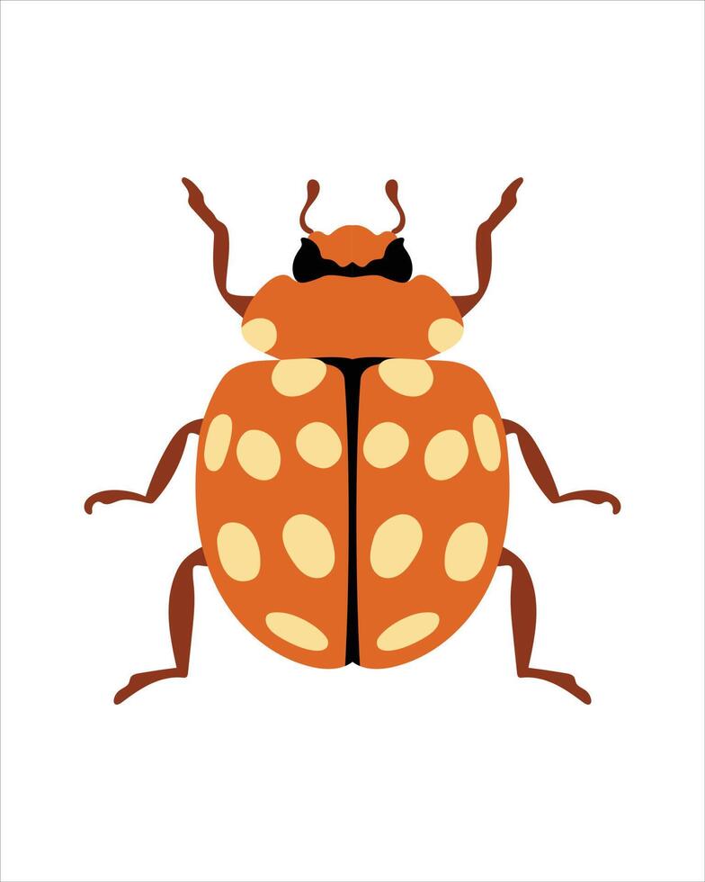 mariquita crema mancha. ilustración vectorial plana de errores. insectos y concepto de jardín animados en tema colorido. Ilustración de dibujos animados de la naturaleza aislada sobre fondo blanco. vector