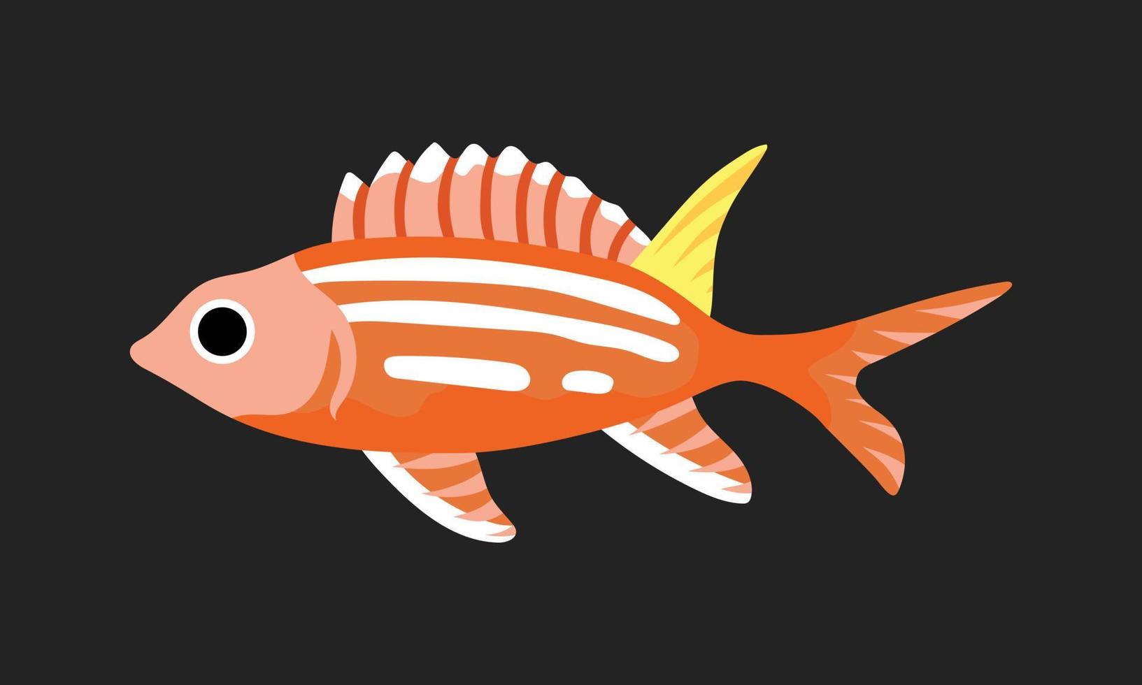 orange longspine squirrelfish. collection set of coral fish illustration. the hand drawing of under the sea life. hand drawn vector animation. adorable and beautiful fishes of marine life.