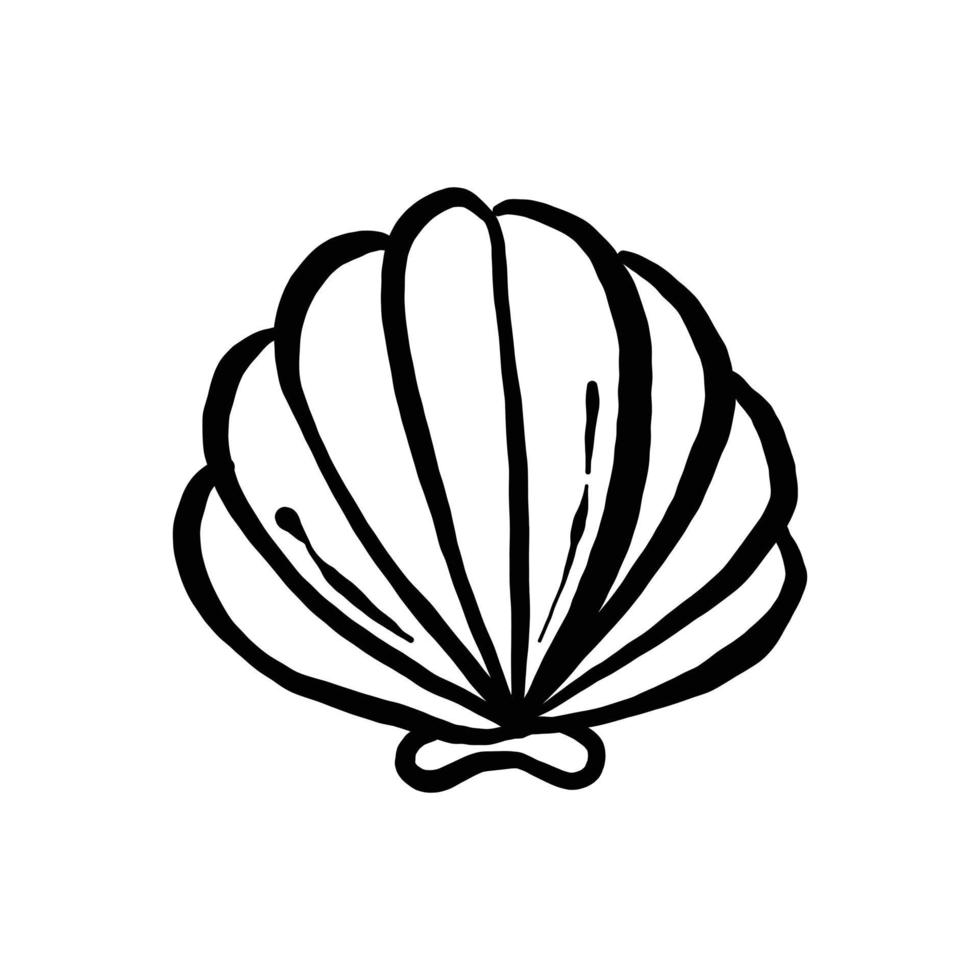 uncolored seashell illustration collection. animated nautical animal in vector graphic for creative design. aquatic object animation isolated on white background.