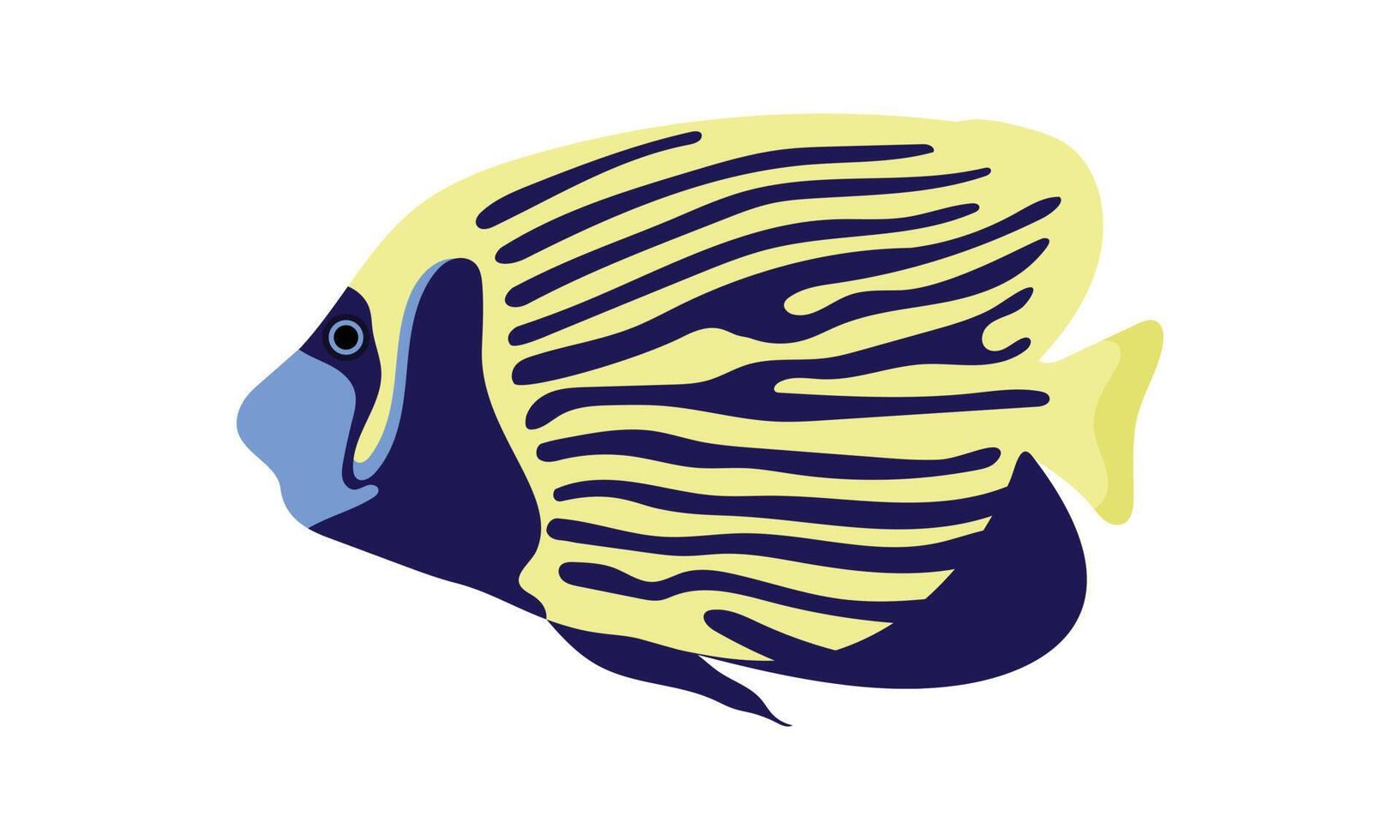 emperor angelfish. collection set of coral fish illustration. the hand drawing of under the sea life. hand drawn vector animation. adorable and beautiful fishes of marine life.