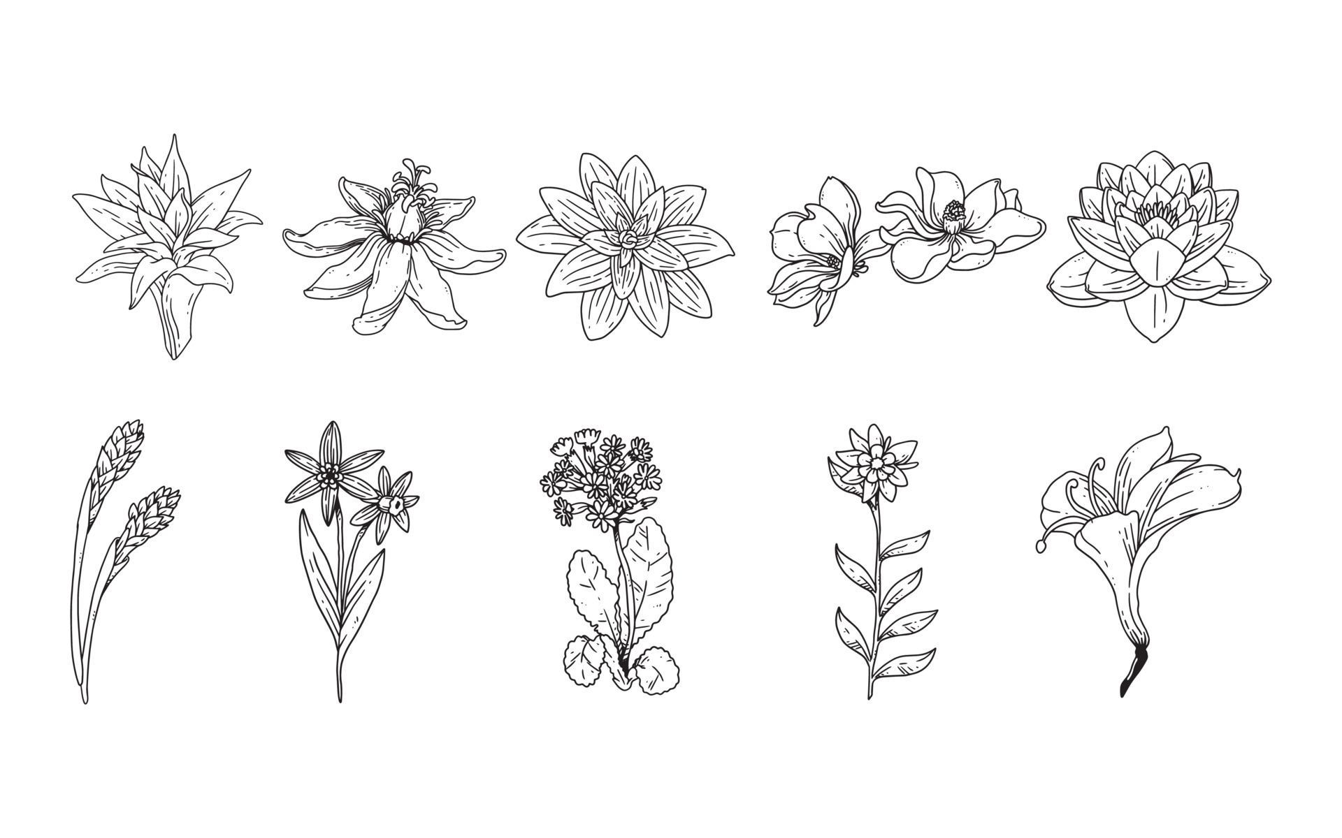 Simple Designs For Project Work - Free Transparent PNG Clipart Images  Download