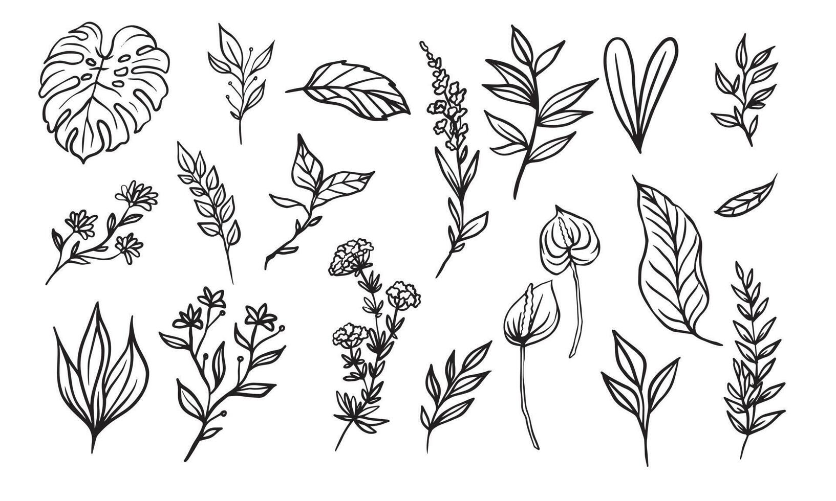 set of hand drawn floral elements for your design, leaf and flowers illustration to create romantic or vintage design, plant isolated graphic very easy add to your design project vector