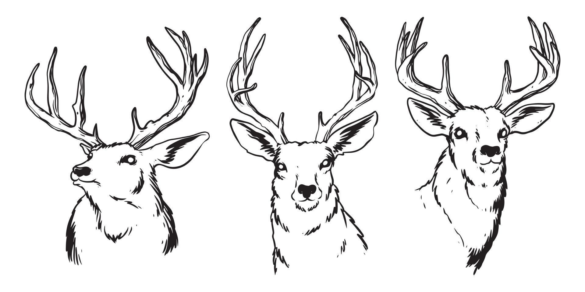 Hand-drawn deer heads lineart with details of feathers and shadows. isolated on white background, Design element for emblem, cover, background, sign, poster, label. Vector illustration