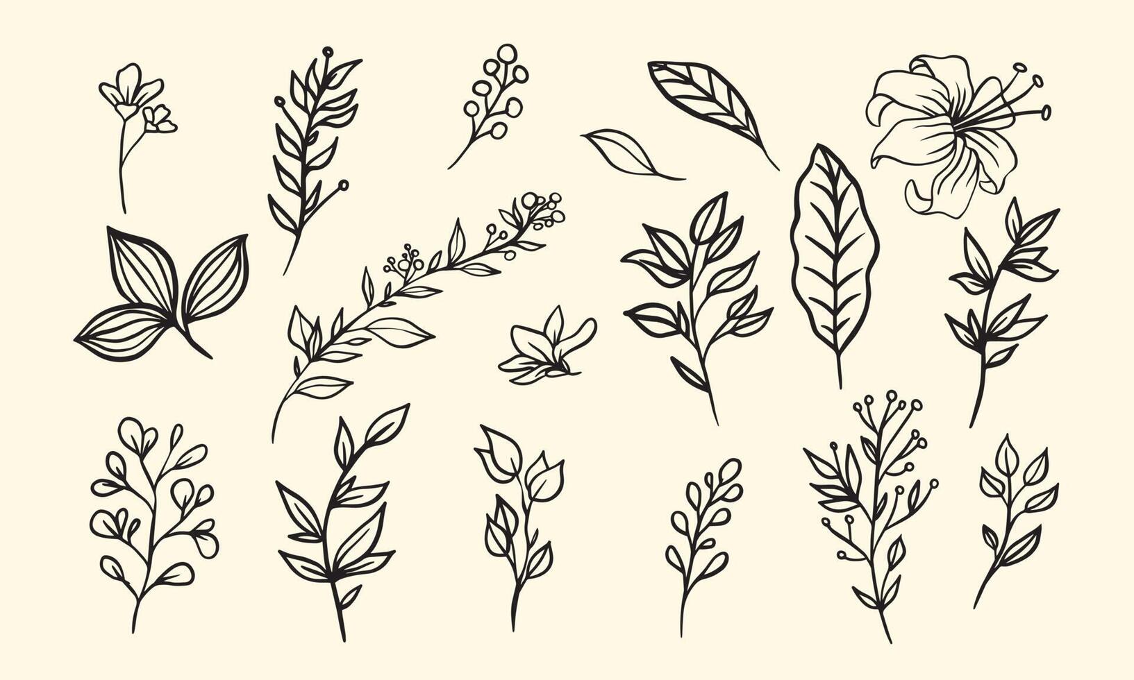 set of hand drawn leaf vector illustration, flower lineart isolated graphic elements for your design, floral lineart for classic design