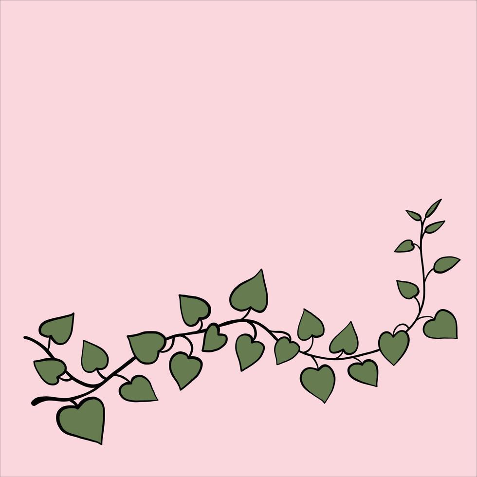 simplicity ivy freehand drawing flat design. vector