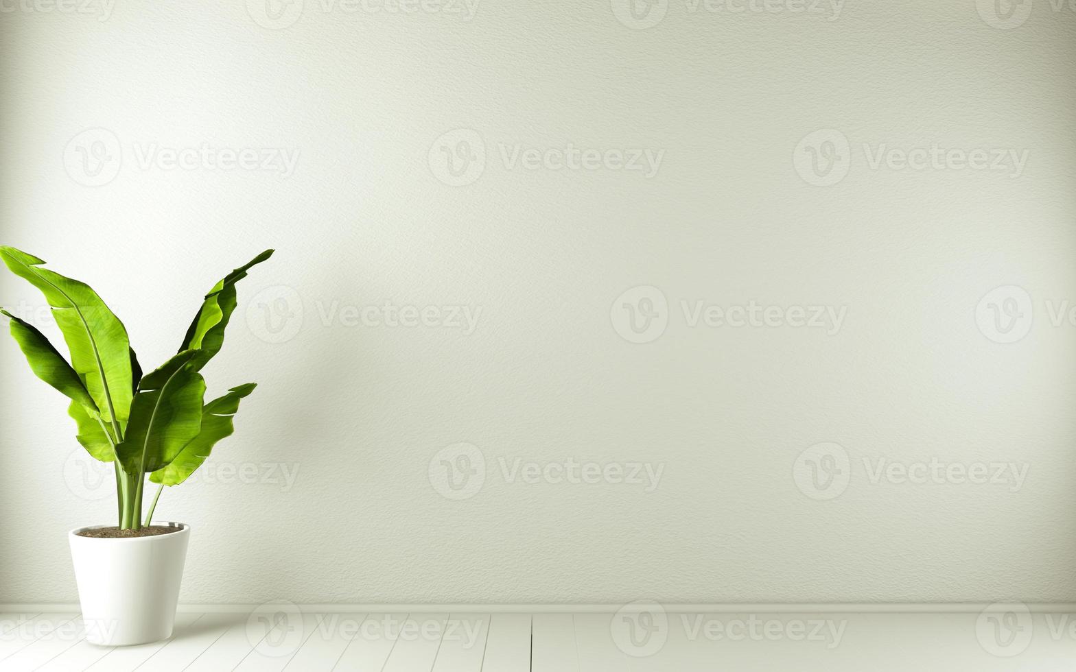 Empty room white on white wooden floor interior design and decoration plants.3D rendering photo