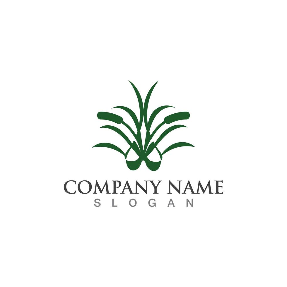 Grass logo design template vector