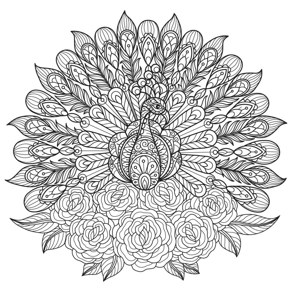 Peacock and rose hand drawn for adult coloring book vector