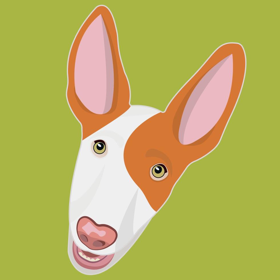 Ibizan Hound muzzle. Podenco ibicenco breed. Stylish dog portrait. Smart and funny dog head icon. Big ears. Flat vector illustration