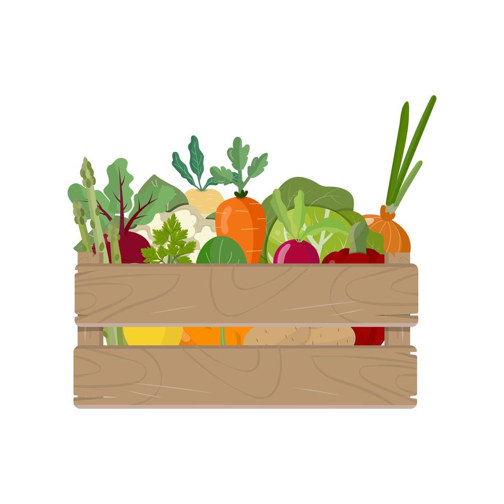 Vegetables in wooden box, isolated on white background. Vegan food, set of homegrown plants, farmers market. Vector illustration