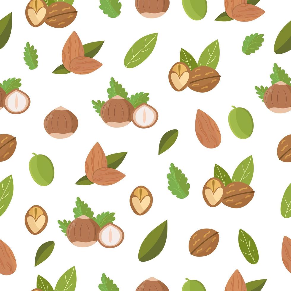 nueces con hojas de patrones sin fisuras, avellana, almendra, nuez sobre fondo blanco. ilustración vectorial vector