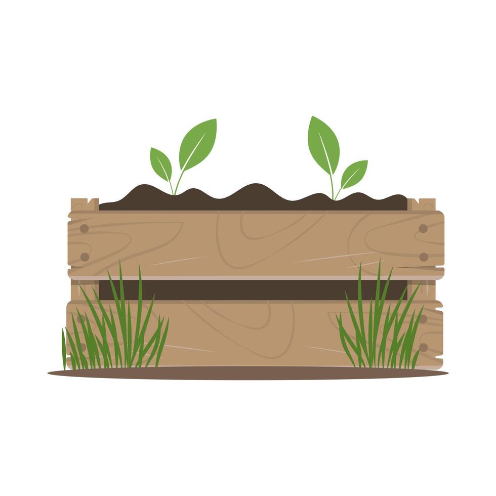 Growing plants in a wooden box with soil, gardening concept isolated on white background. Vector illustration