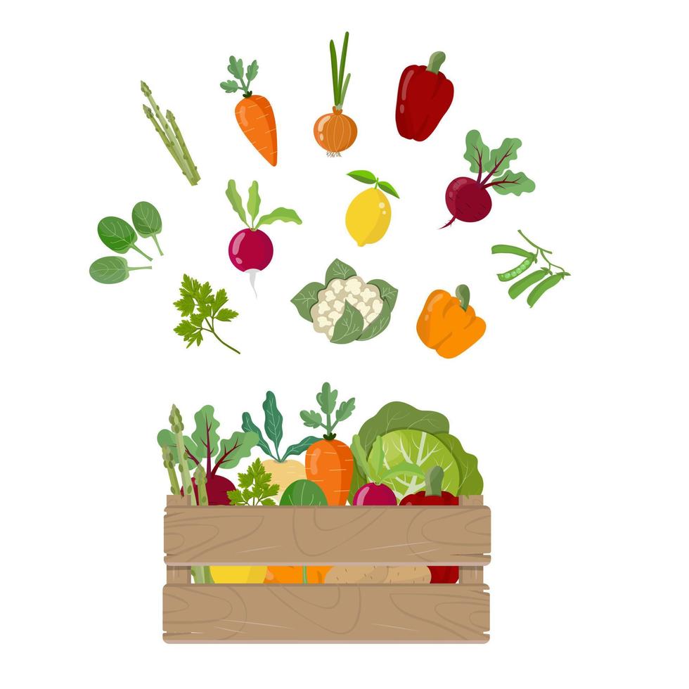 Vegetables in wooden box, concept healthy nutrition, isolated on white background. Vegan food, set of homegrown plants. Vector illustration