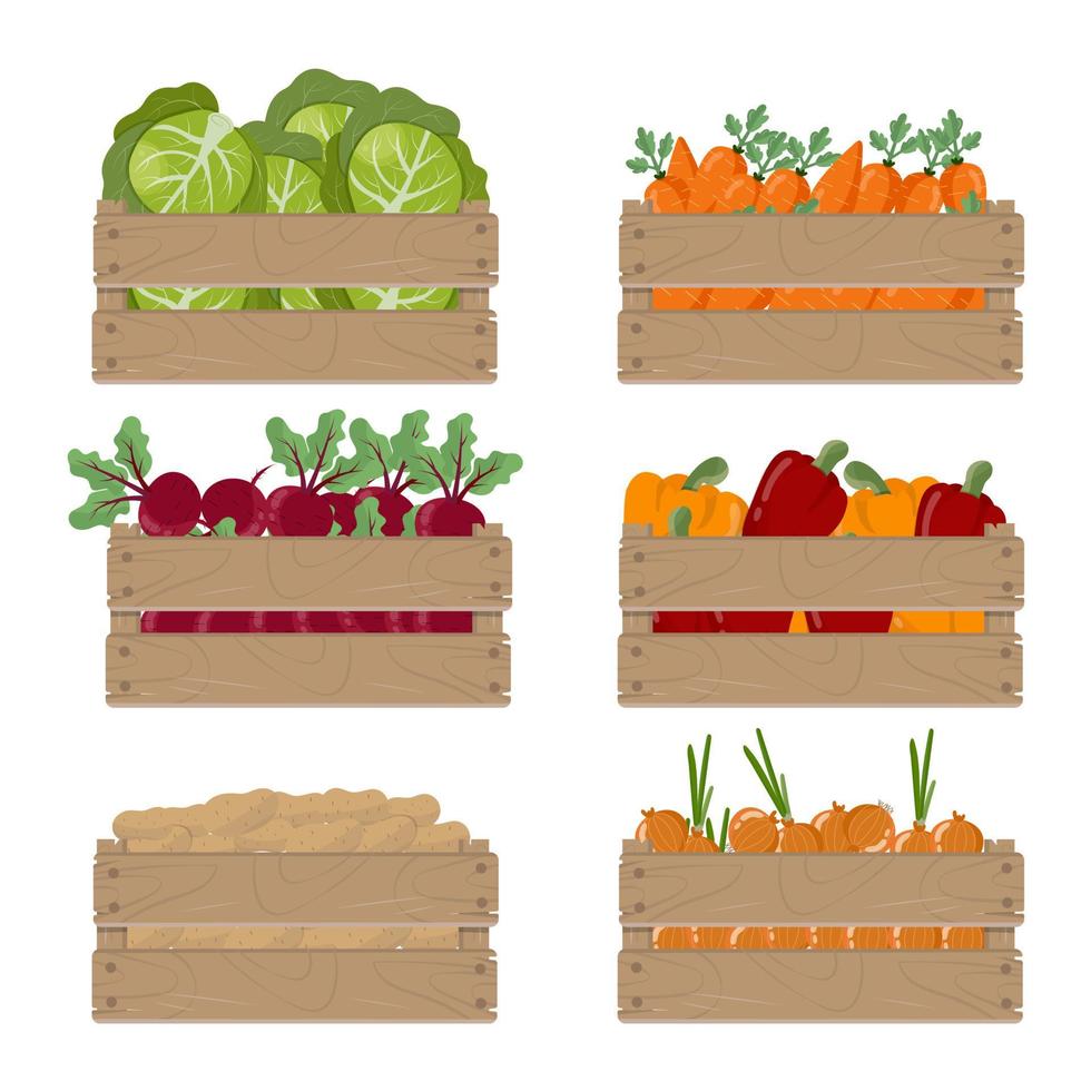 Set of wooden box with vegetables, isolated on white background. Vector illustration