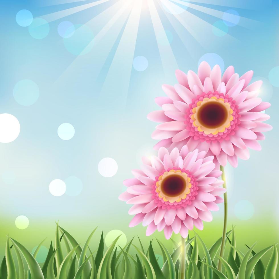 Spring Time Flower Background vector