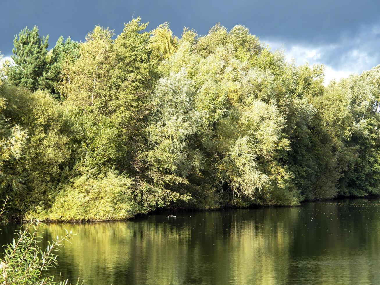 Trees beside a pond at North Cave Wetlands, East Yorkshire, England photo