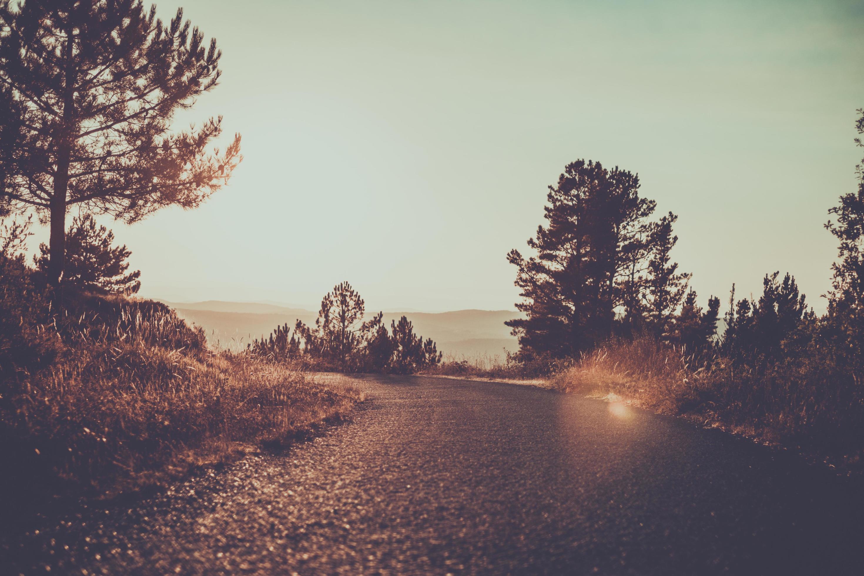 road to the wild 4594923 Stock Photo at Vecteezy