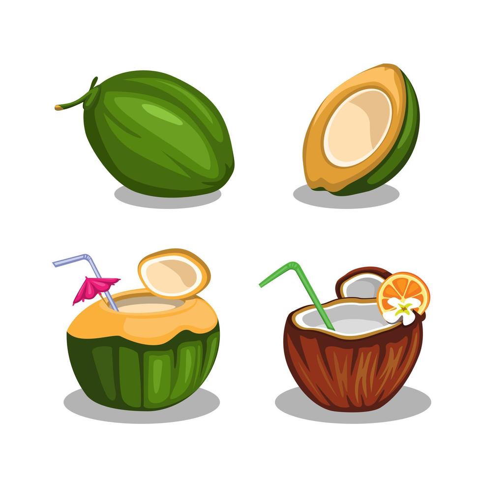 Coconut fruit in slice and drink symbol set concept in cartoon illustration vector on white background