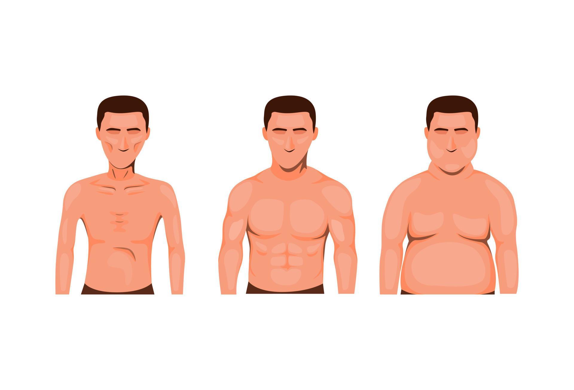 Man Body Type Skinny Fat And Muscle Nutrition Health Symbol Icon Set Concept In Cartoon Illustration Vector Vector Art At Vecteezy