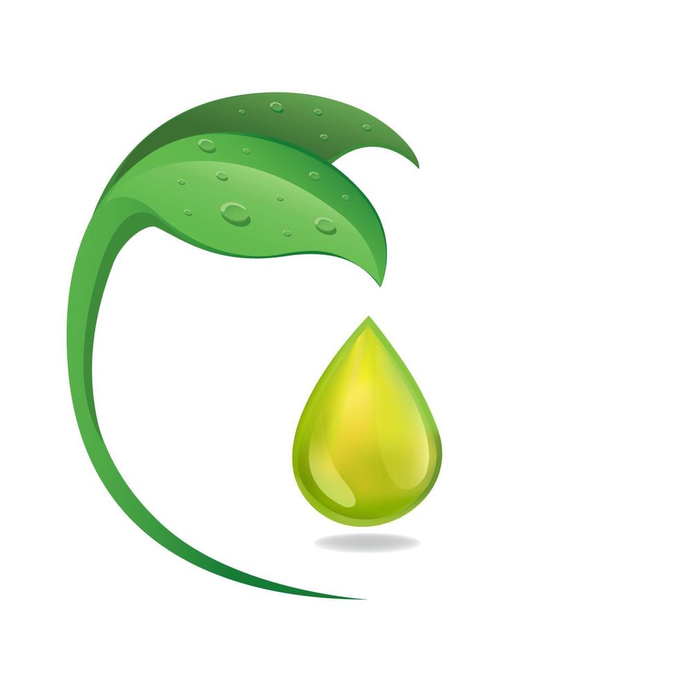 Leaf with liquid oil symbol for herbal extraction oil concept in cartoon realistic illustration vector