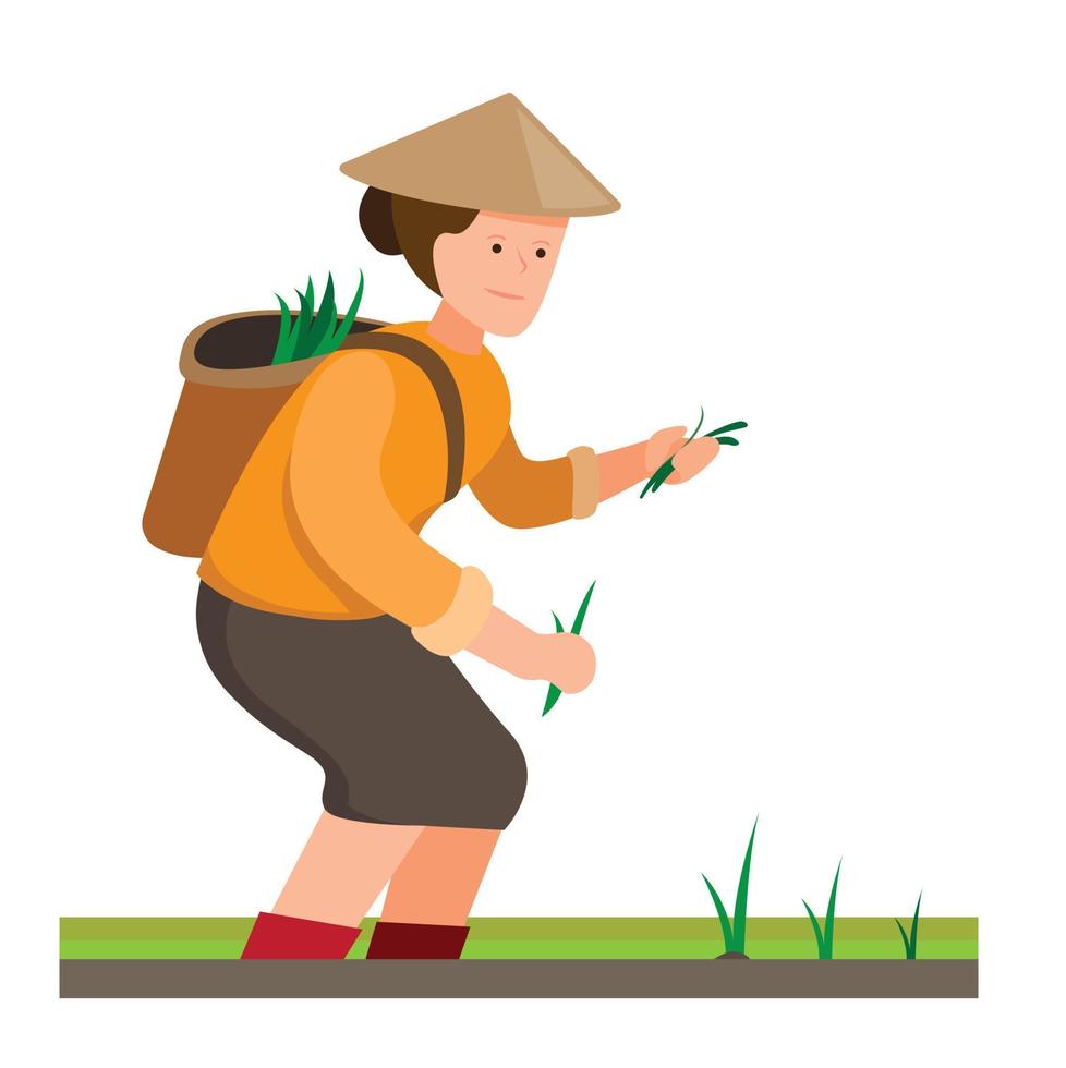 mujer asiática cultivador de arroz planta semillas en el campo, actividades de agricultores de hortalizas en el pueblo, el proceso de cultivo de arroz. vector editable de dibujos animados de ilustración plana