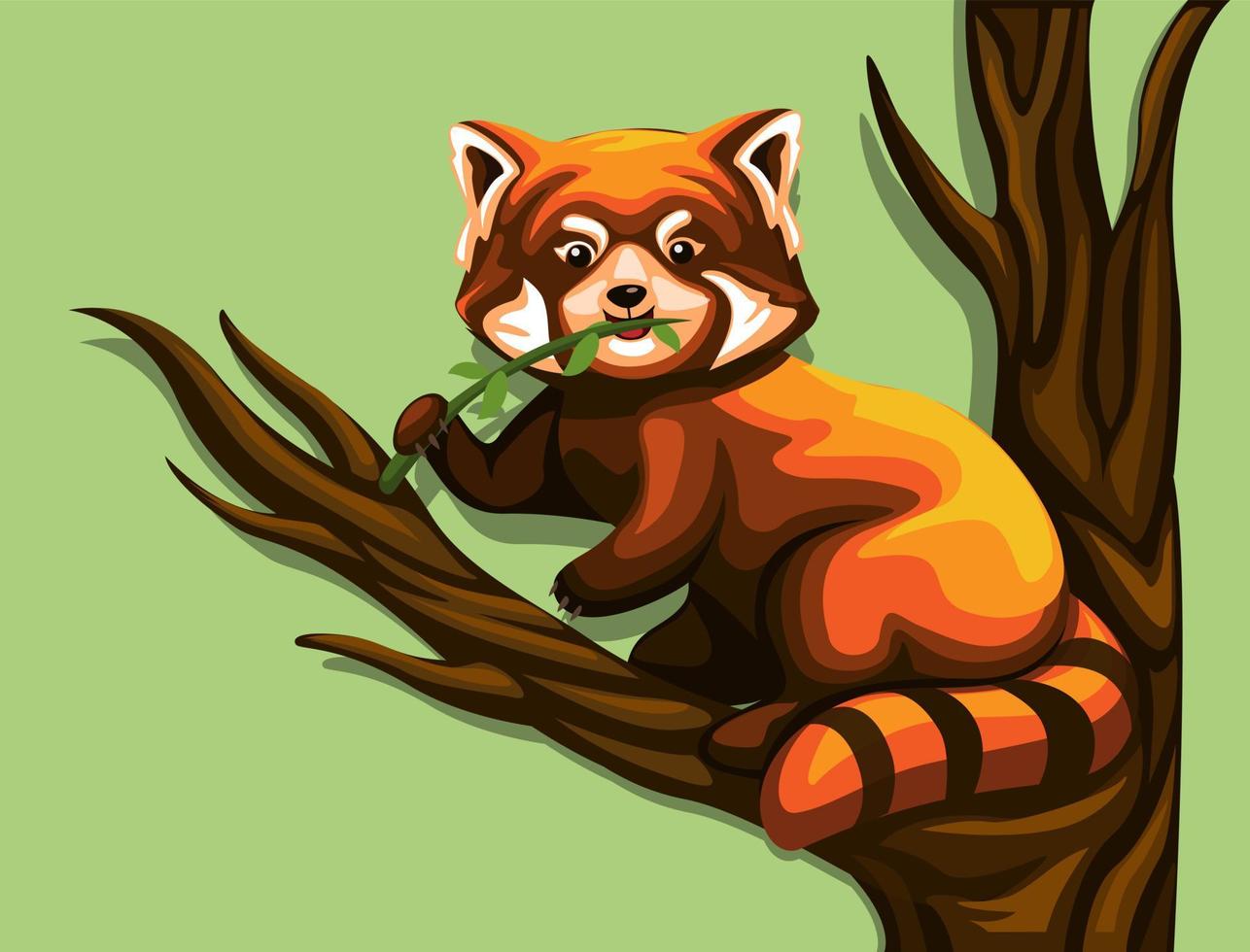 Chinese red panda eating leaves in tree. exotic animal illustration cartoon vector