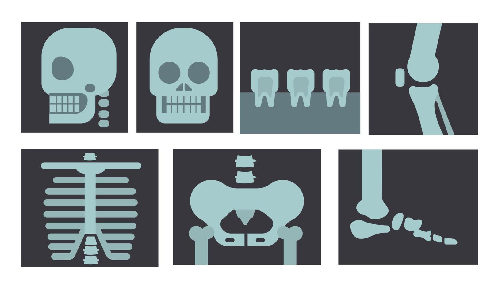Radiografía del cuerpo humano, dientes y huesos en vector de ilustración de diseño plano
