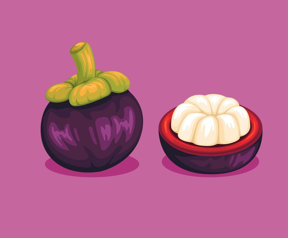 vector de ilustración de dibujos animados de conjunto de frutas de mangostán