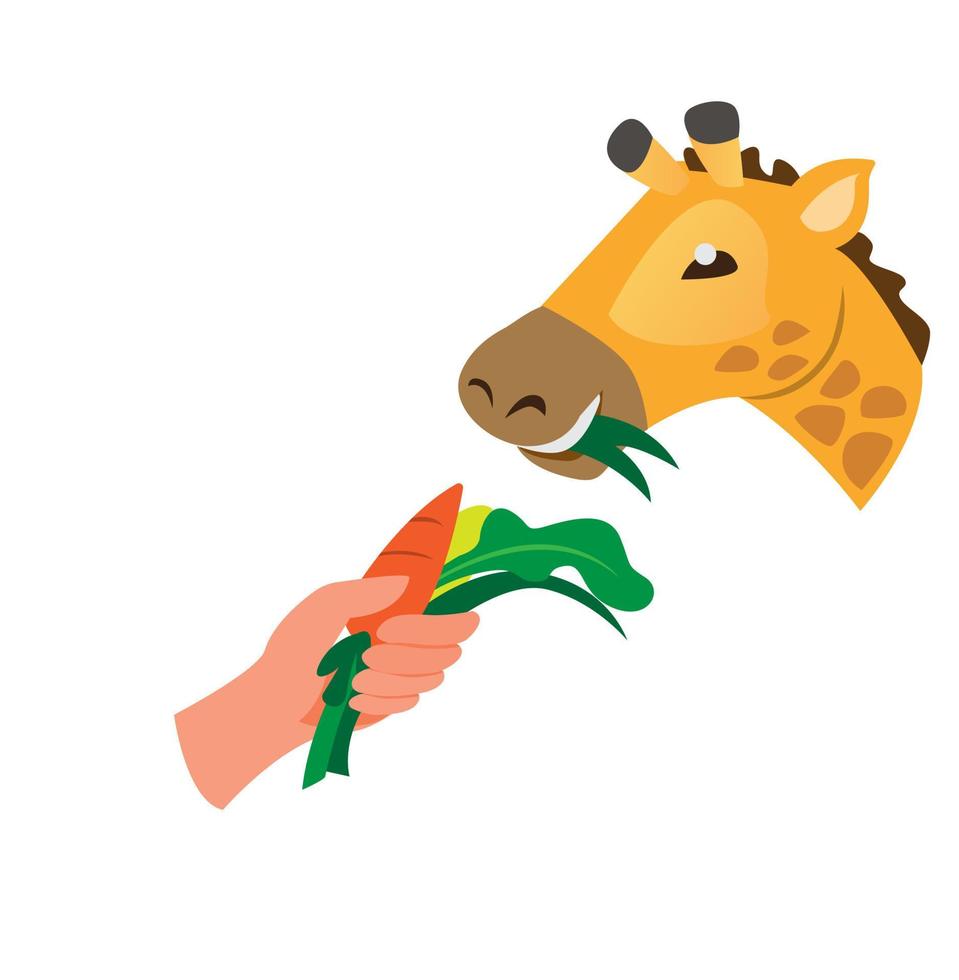feeding animal, hand holding vegetable giving to giraffe in zoo or farm symbol cartoon flat illustration vector isolated in white background