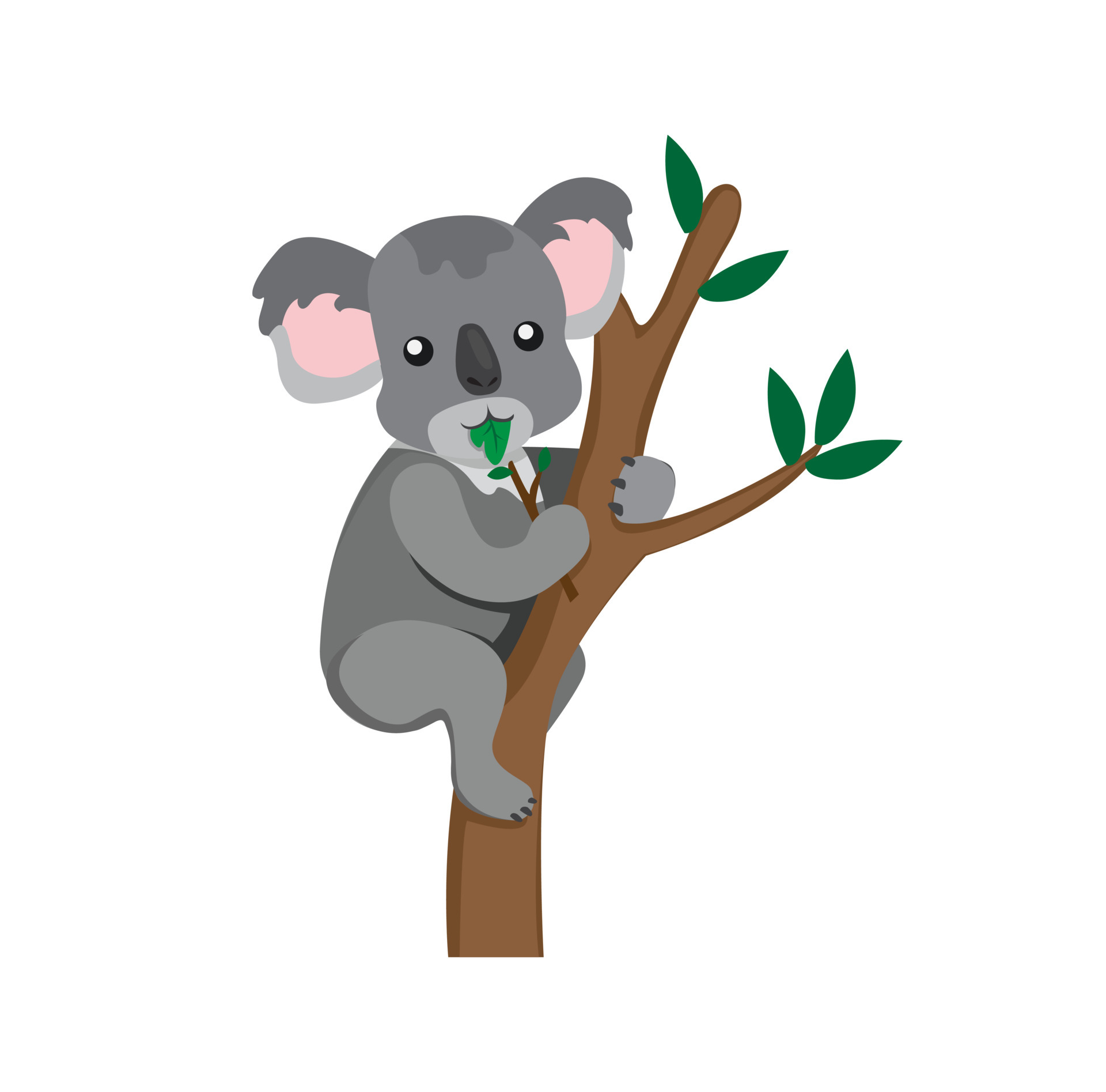 Koala eating eucalyptus leaves, marsupial animal from australia cartoon  flat illustration vector isolated in white background 4596407 Vector Art at  Vecteezy