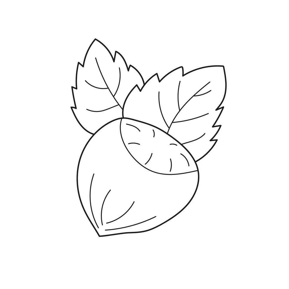 Simple coloring page. Hazelnut to be colored, the coloring book. Simple game vector