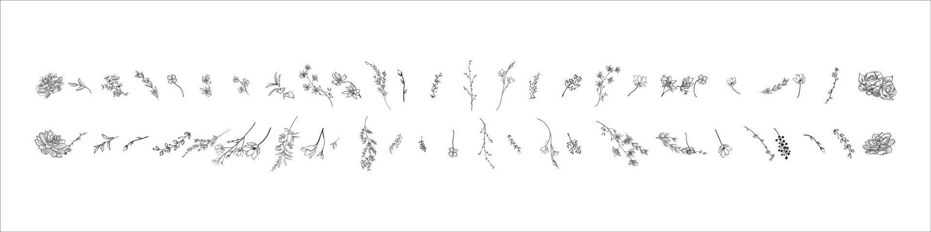 Hand drawn plants vector eps 10