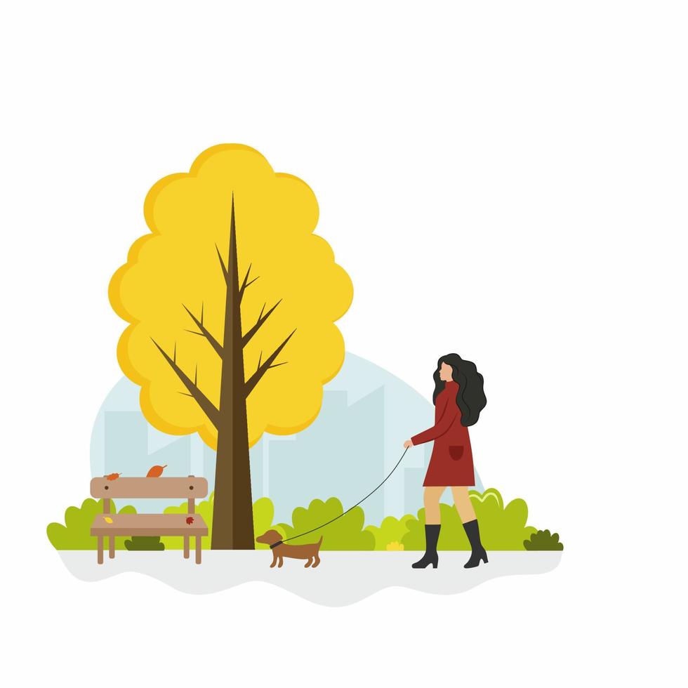 una niña camina con un perro en un parque de otoño. ilustración plana de dibujos animados de vector. una mujer pasea a un pequeño perro salchicha. dibujo en el estilo de estilo de vida. vector