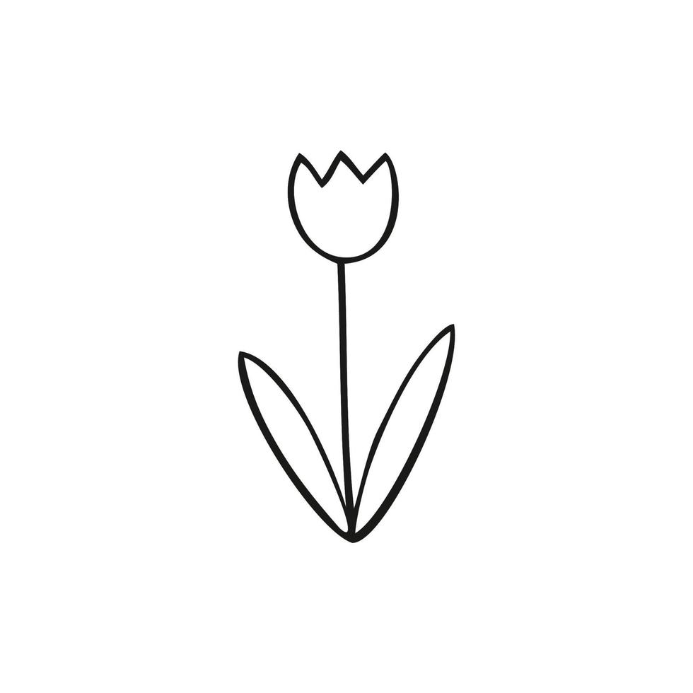 dibujo infantil de un tulipán hecho de líneas sobre un fondo blanco. dibujo infantil sencillo de flores. dibujo a lápiz a mano, ilustración vectorial. libro para colorear para niños campana de flores. vector